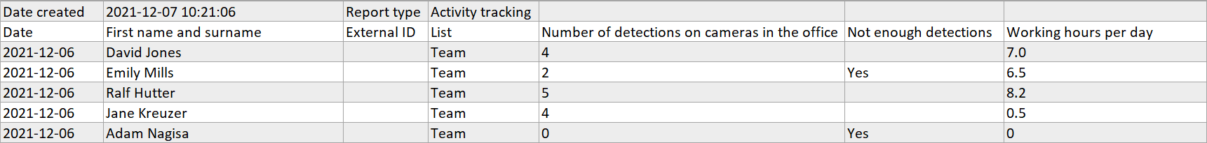 Figure 1. Work activity report