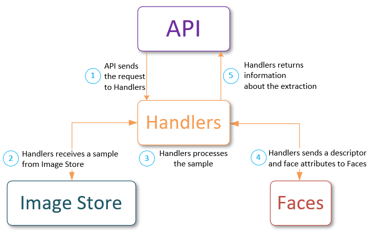 Extraction workflow