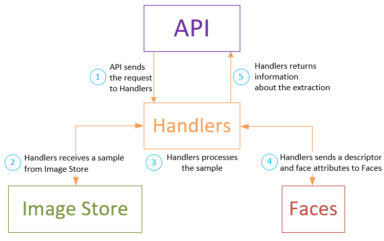 Extraction workflow