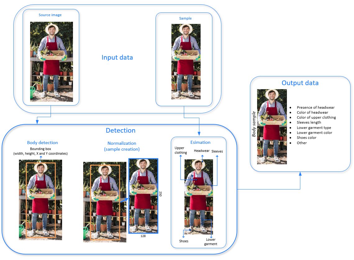 Body image processing order